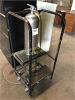 Rolling step ladder & stainless fire extinguisher