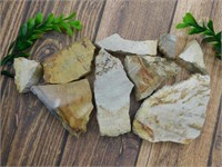 PETRIFIED WOOD SLAB PIECES ROCK STONE LAPIDARY SPE