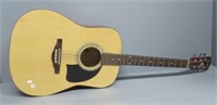 George Washburn Lyon guitar model LG1PAK.