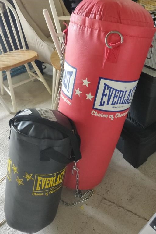 2 Everlast Punching Bags
