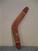 Painted Boomerang