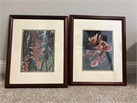 Lot Of 2 Framed Floral Pictures