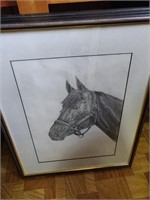 Group of Horse Sketches