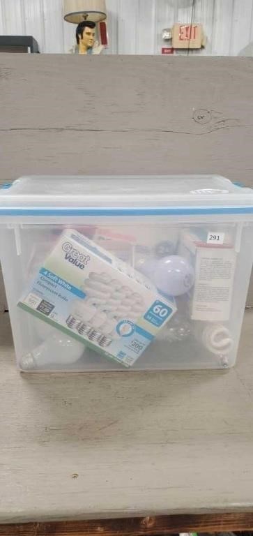 Storage Bin w Light Bulbs