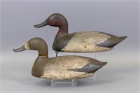 Pair of Canvasback Duck Decoys by Unknown