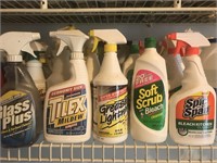 Household Cleaner Lot