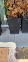 Planter 16"L 16"w 24"h