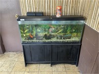 Long fish tank (4 ft)