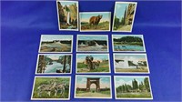Yellowstone Park postcards lot