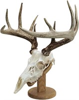 Walnut Hollow Country Solid Wood Skull Display &