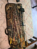 Lot of 2 bows and multiple arrows