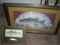 2 Framed Fish Prints, Largest 31x19