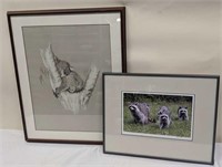 Koala Print & Photo of Raccoons