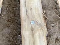 Liveedge Poplar