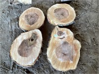 Sugar Maple Rounds