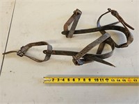 Vintage tree climbing spurs