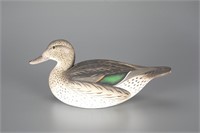 Green-Winged Teal Hen