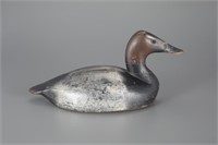 Canvasback