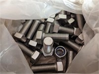 Assorted Stainless Bolts
