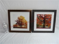 Fall / Autumn Tree Framed Prints ~ Set of 2