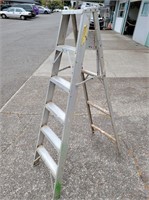 Metal 6-Foot Ladder
