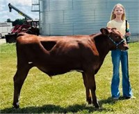 Halle Homan - Dairy Beef Feeder