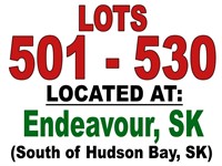 LOTS 501 - 530 / LOCATED AT: Endeavour, Sk.