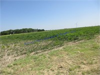 YODER ACREAGE AUCTION, 2 TRACTS