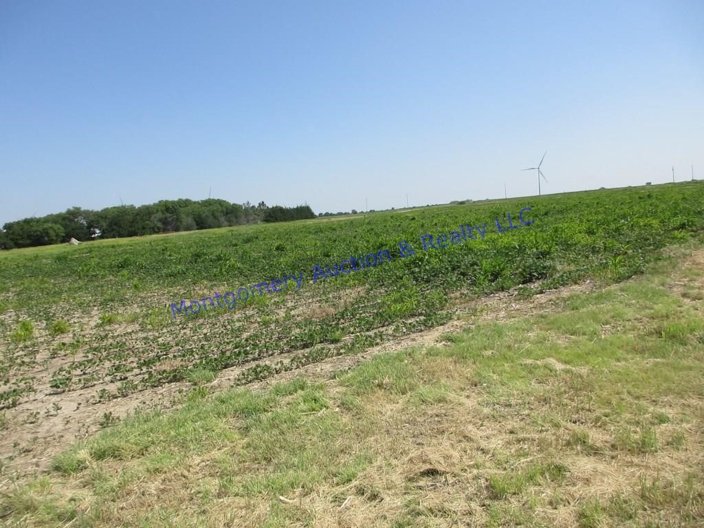 CROPLAND EAST SIDE OF HIWAY