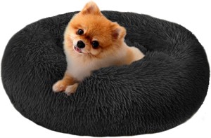 $39 Dog Bed
