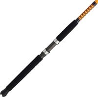 Ugly Stik Bigwater Spinning Fishing Rod POLE only