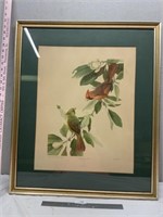 Magnolia Time Cardinal Birds Framed Print 28x23