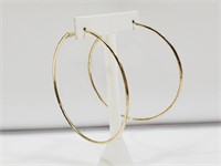 Large Hoop Earrings