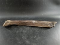 Ancient fossilized leg bone, recovered from Northe