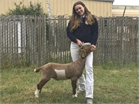 Kilee Cabal, Eureka FFA, Market Goat