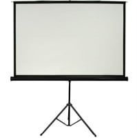 Projector Screen + Stand