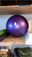 Exercise workout ball