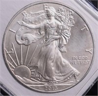 2013 SILVER EAGLE GEM