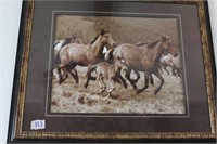 Horse Running in Grass Framed Print