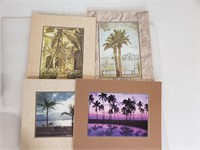 Four Island Prints