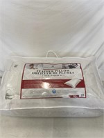 NORTHERN FEATHER CANADA PILLOW 2 PACK KING SIZE