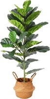 Ferrgoal Fiddle Leaf Fig  39 Inch  Green