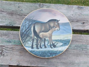 Collector's Plate - Przewalski Horse