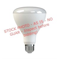 6 pk. G.E. BR30 Med. Base Bulbs