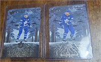 2 TML Deep Roots 2023/24 Cards