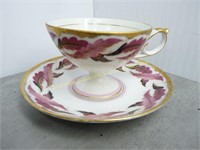 Shafford Hand Decorated Teacup & Saucer