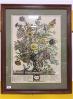 Framed rendering of flowers and their names