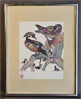 Signed & Numbered Wood Duck Print -Nice Color