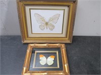 Fun Framed Butterfly Art