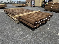 (20) Pcs Of Pressure Treated Mini Ties